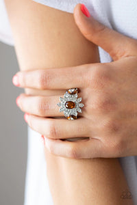 Paparazzi Ring - The Princess and The FROND - Brown
